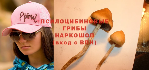а пвп мука Заводоуковск