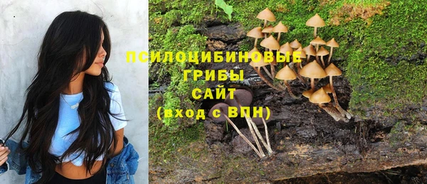 а пвп мука Заводоуковск